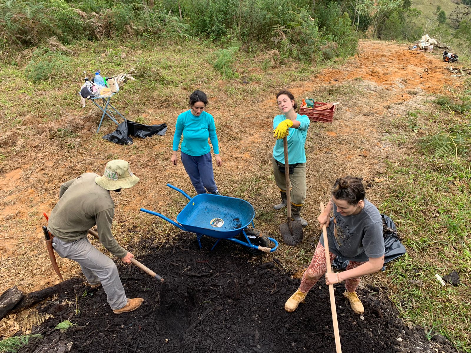 carregamento de esterco.jpg